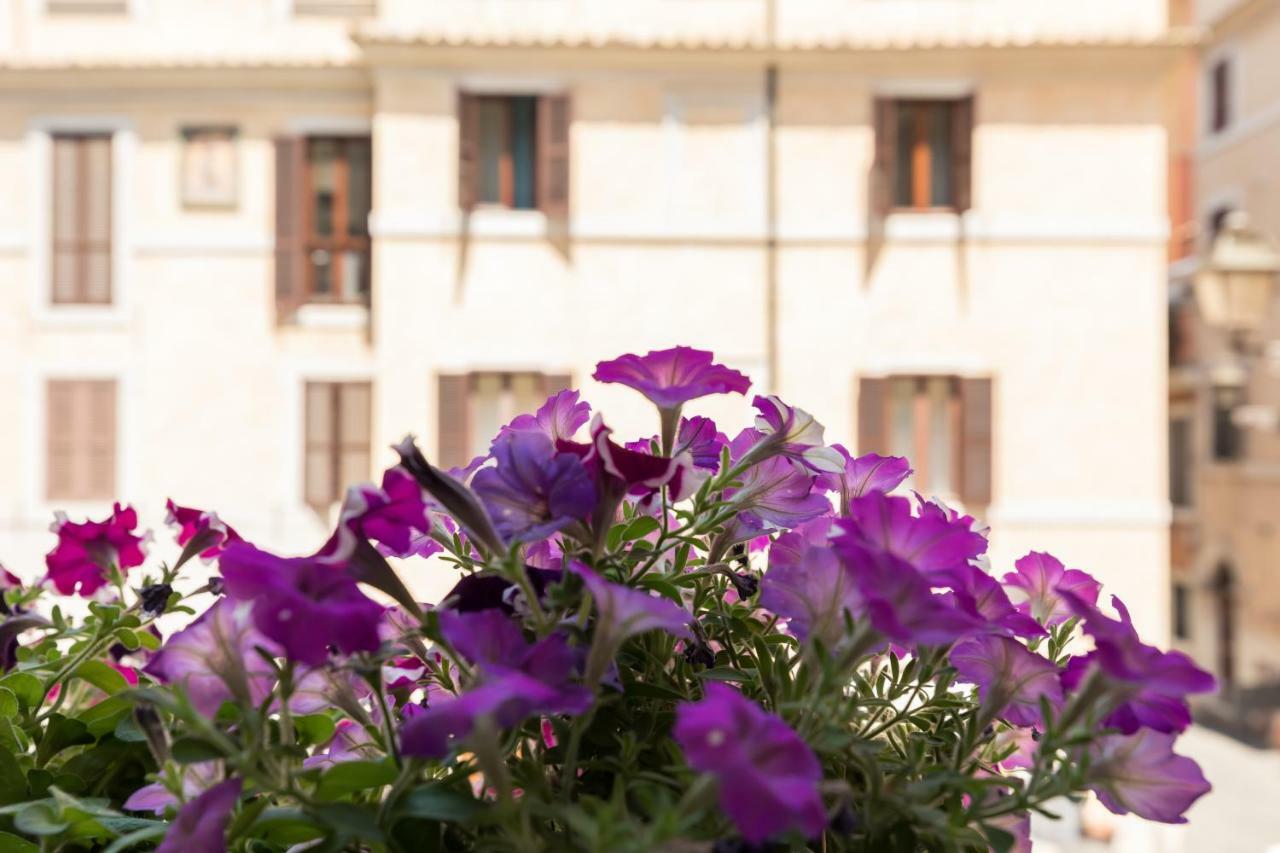 Buongiorno Colosseo Rom Exteriör bild